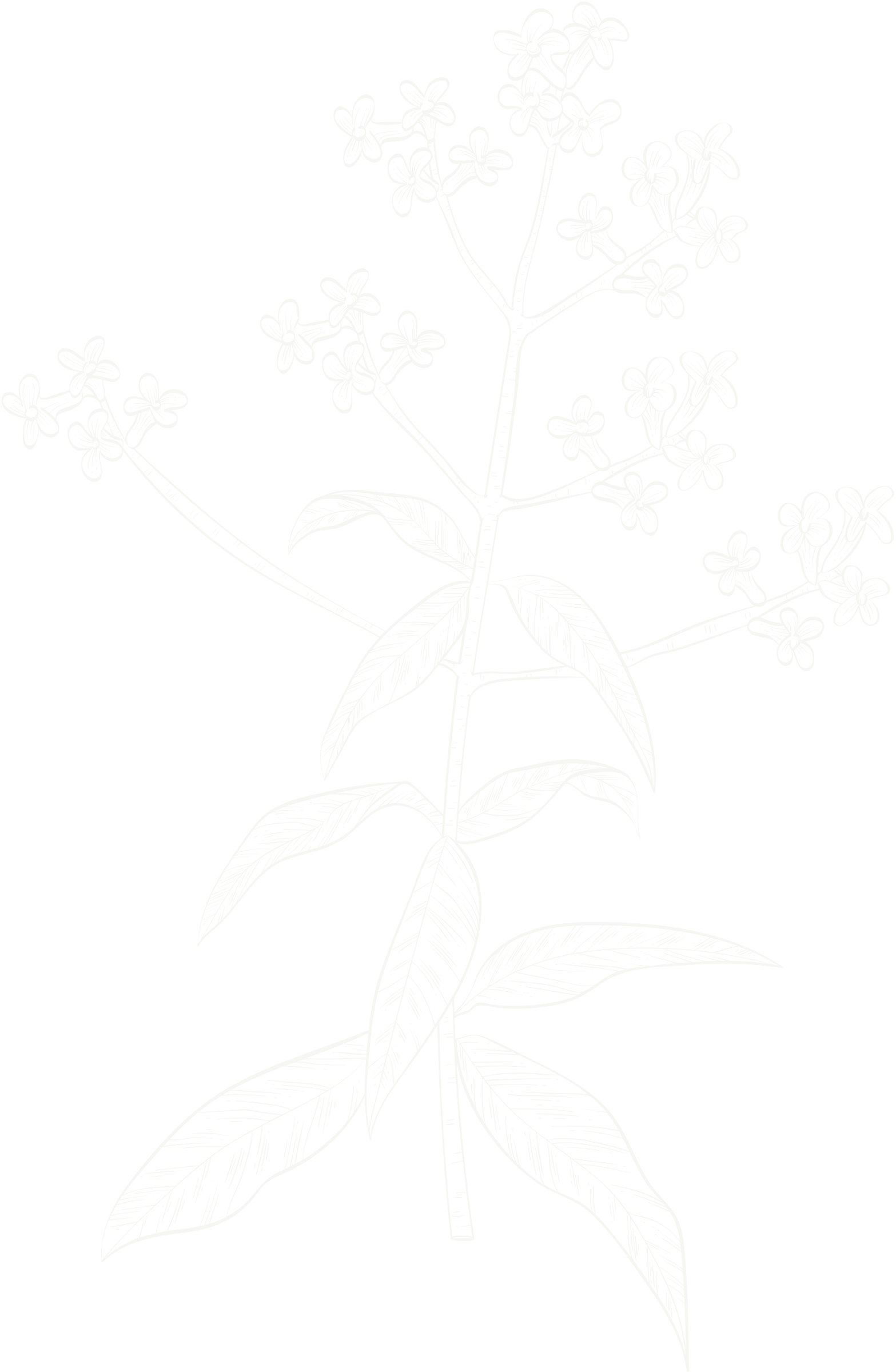 right flower